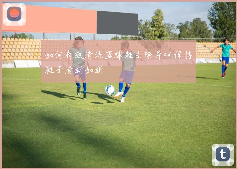 如何有效清洗篮球鞋去除异味保持鞋子清新如新