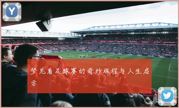 梦见看足球赛的奇妙旅程与人生启示