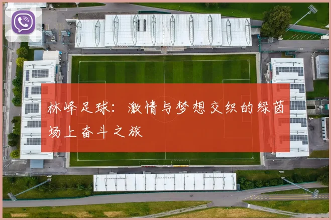 林峰足球：激情与梦想交织的绿茵场上奋斗之旅