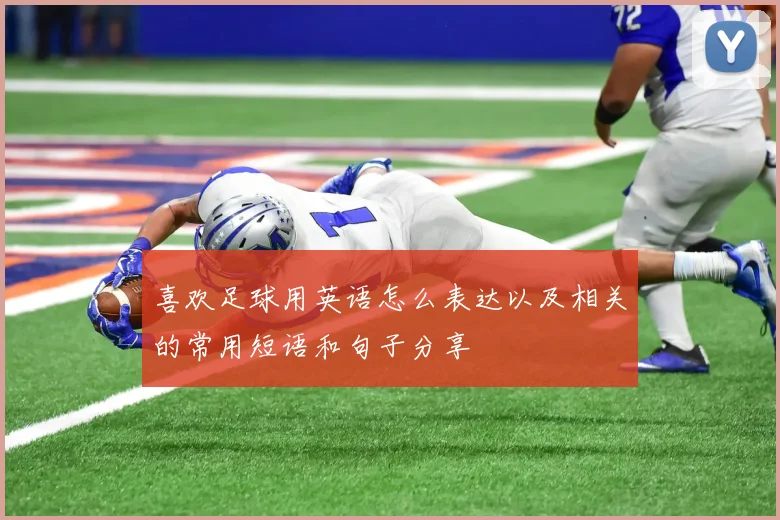 喜欢足球用英语怎么表达以及相关的常用短语和句子分享